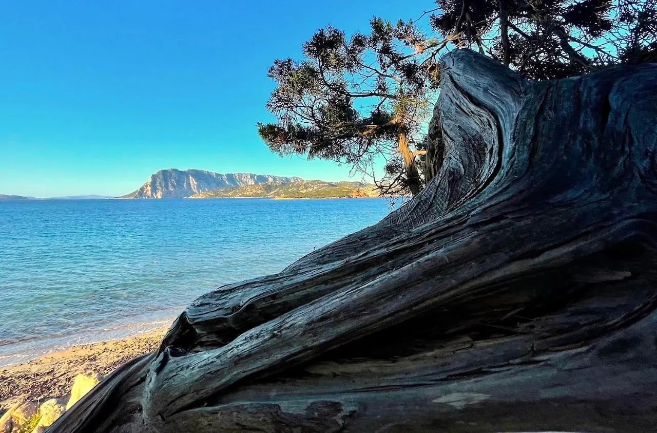 Apartmán San Teodoro Punta Est Trilocale Vista Mare Capo Coda Cavallo Itálie