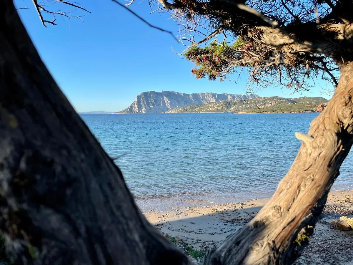 דירות קאפו קודה קבלו San Teodoro Punta Est Trilocale Vista Mare
