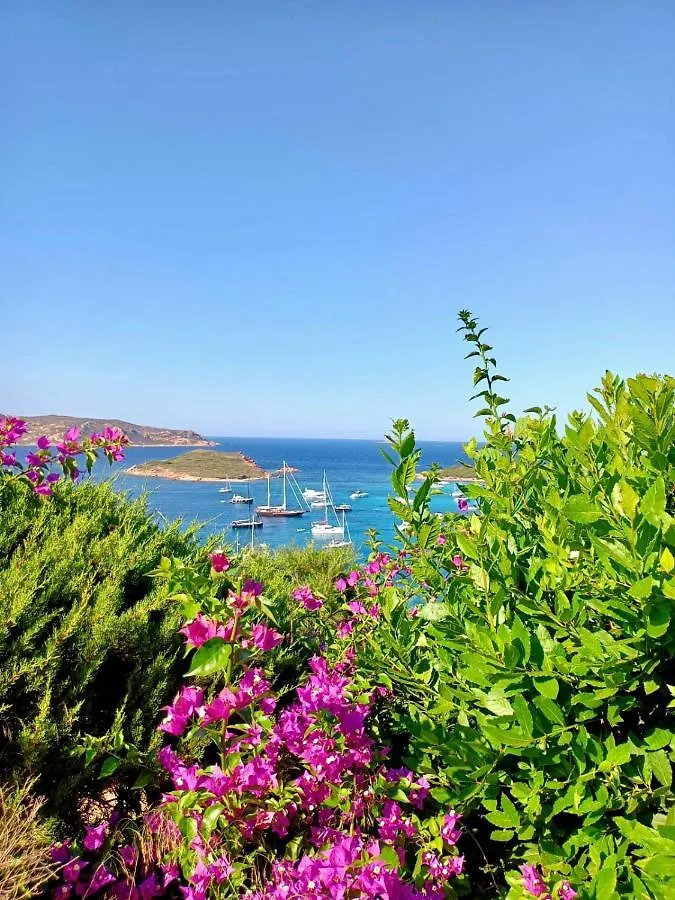 דירות קאפו קודה קבלו San Teodoro Punta Est Trilocale Vista Mare